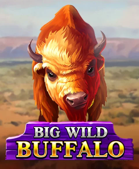 Play Big Wild Buffalo at Wagon Bet Casino